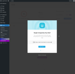 Page screenshot: Smush &rarr; CDN