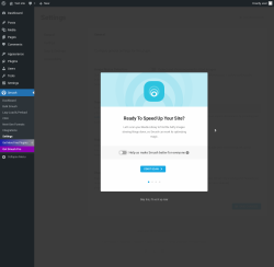 Page screenshot: Smush &rarr; Settings