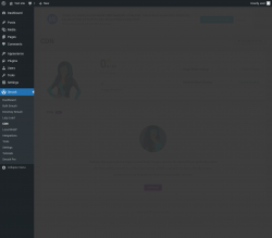 Page screenshot: Smush &rarr; CDN