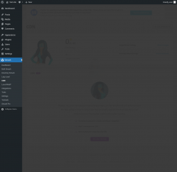 Page screenshot: Smush &rarr; CDN