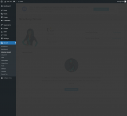 Page screenshot: Smush &rarr; Directory Smush