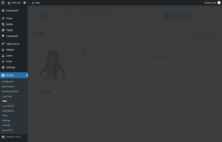 Page screenshot: Smush &rarr; CDN