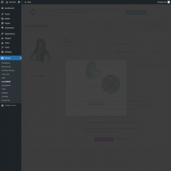 Page screenshot: Smush &rarr; Local WebP
