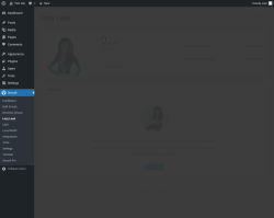 Page screenshot: Smush &rarr; Lazy Load