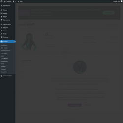 Page screenshot: Smush &rarr; Local WebP