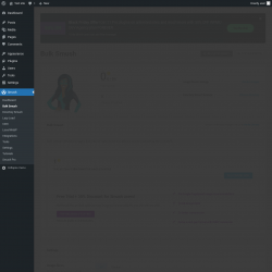 Page screenshot: Smush &rarr; Bulk Smush