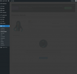 Page screenshot: Smush &rarr; Directory Smush