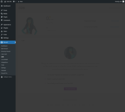 Page screenshot: Smush &rarr; CDN