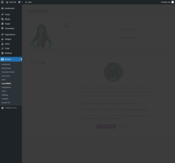 Page screenshot: Smush &rarr; Local WebP