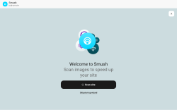 Page screenshot: Smush &rarr; Settings