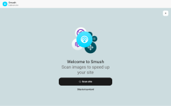 Page screenshot: Smush
