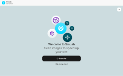Page screenshot: Smush &rarr; Settings