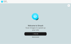 Page screenshot: Smush - Dashboard
