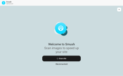 Page screenshot: Smush - Dashboard