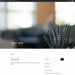 Page screenshot: Test site – Just another WordPress site