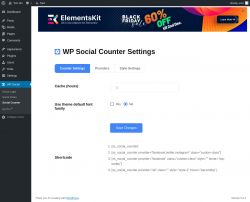 Page screenshot: WP Social &rarr; Social Counter