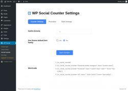 Page screenshot: WP Social &rarr; Social Counter