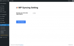 Page screenshot: WP Social &rarr; Settings