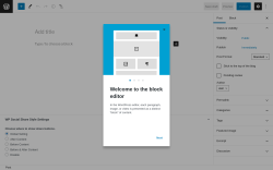 Page screenshot: Add New Post &lsaquo; Test site &mdash; WordPress