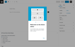 Page screenshot: Add New Page &lsaquo; Test site &mdash; WordPress