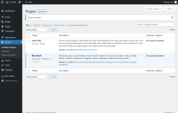 Page screenshot: Plugins &lsaquo; Test site &mdash; WordPress