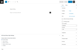 Page screenshot: Add New Post &lsaquo; Test site &mdash; WordPress