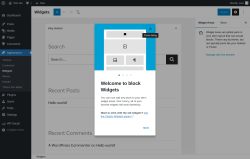 Page screenshot: Widgets &lsaquo; Test site &mdash; WordPress