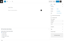 Page screenshot: Add New Post &lsaquo; Test site &mdash; WordPress