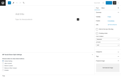 Page screenshot: Add New Post &lsaquo; Test site &mdash; WordPress