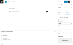 Page screenshot: Add New Post &lsaquo; Test site &mdash; WordPress