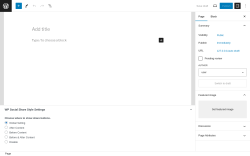 Page screenshot: Add New Page &lsaquo; Test site &mdash; WordPress