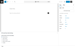 Page screenshot: Add New Page &lsaquo; Test site &mdash; WordPress