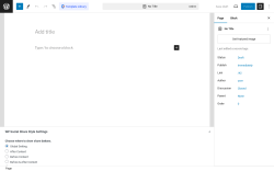 Page screenshot: Add New Page &lsaquo; Test site &mdash; WordPress