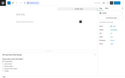 Page screenshot: Add New Page &lsaquo; Test site &mdash; WordPress