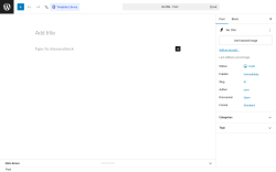 Page screenshot: Add Post &lsaquo; Test site &mdash; WordPress