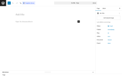Page screenshot: Add Page &lsaquo; Test site &mdash; WordPress