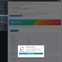 Page screenshot: WP Staging  &rarr; System Info