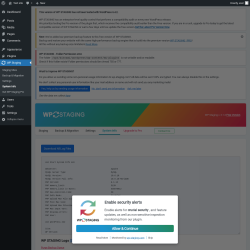 Page screenshot: WP Staging  &rarr; System Info