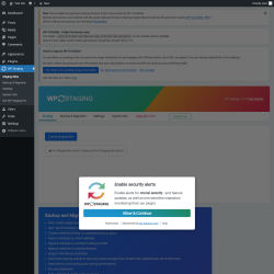 Page screenshot: WP Staging 