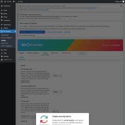 Page screenshot: WP Staging  &rarr; Settings