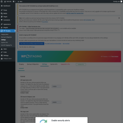 Page screenshot: WP Staging  &rarr; Settings