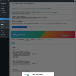Page screenshot: WP Staging  &rarr; Settings