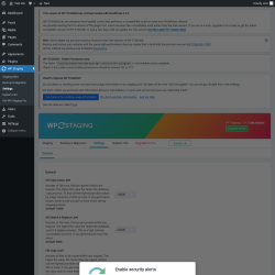 Page screenshot: WP Staging  &rarr; Settings