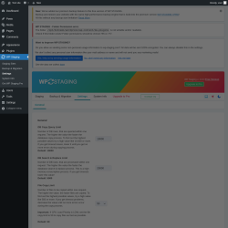 Page screenshot: WP Staging  &rarr; Settings
