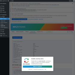 Page screenshot: WP Staging  &rarr; System Info