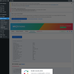 Page screenshot: WP Staging  &rarr; System Info