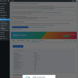 Page screenshot: WP Staging  → System Info