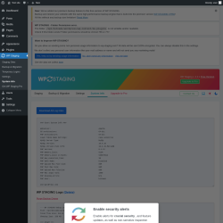 Page screenshot: WP Staging  → System Info
