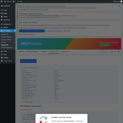 Page screenshot: WP Staging  → System Info