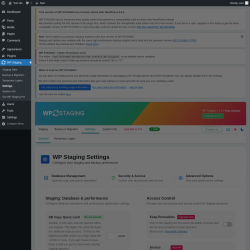 Page screenshot: WP Staging  &rarr; Settings